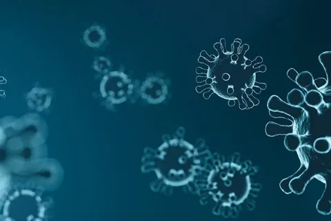 WHAT YOU NEED TO KNOW ABOUT THE NOVEL CORONAVIRUS (COVID-19)?
